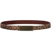 guess gr 68640 womens belt in brown