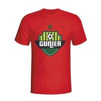 guinea country logo t shirt red kids