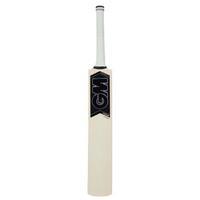 gunn and moore chrome play cricket bat