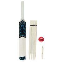 Gunn And Moore Neon Pro Cricket Set