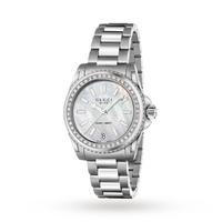 gucci dive ladies watch