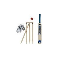 gunn moore joe root cricket set