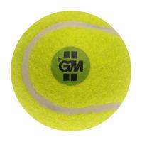 Gunn And Moore Swingking Ball