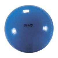Gymnic Physio Ball 95 cm