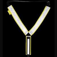 Harry Hall Hi Viz Martingale