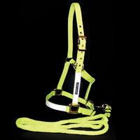 Harry Hall Hi Viz Headcollar and Lead Rope