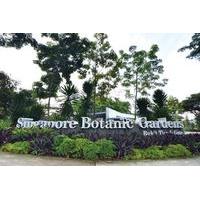 Half-Day Singapore Botanic Gardens Tour