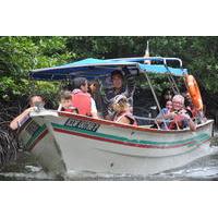 Half-Day Mangrove Safari Boat Tour in Langkawi