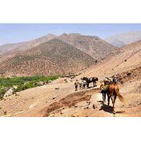 Half-Day Horse Riding Tour in Atlas Mountains from Marrakech