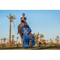 half day camel ride in the rock desert and palm grove from marrakech