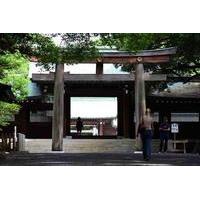 Half Day Walking Tour of Asakusa: Meiji Shrine and Shibuya including Sumo Stable Visit
