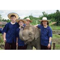 half day lanna kingdom elephant sanctuary tour in chiang mai