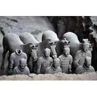 Half-Day Private Tour of Terra Cotta Warriors and Horses Museum