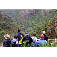 Half Day Small-Group Morialta Conservation Park Trip from Adelaide