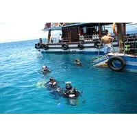 Half-Day Scuba Diving in Nha Trang