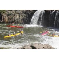 Half-Day Guided Kayak Tour to Haruru Falls