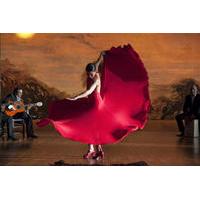 Half Day Flamenco Historical Tour and Show
