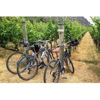 half day self guided ride and wine bike tour from arrowtown