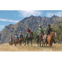 Half-Day Walter Peak Horse Trek from Queenstown