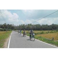 half day lagoon and village cycling tour in galle