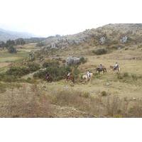 Half Day Horseback Riding Tour to Inca Ruins from Cusco