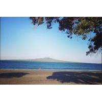 half day takapuna food and culture tour from auckland