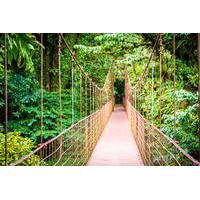 Hanging Bridges Walking Tour in Arenal