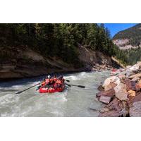 half day whitewater rafting on kicking horse river