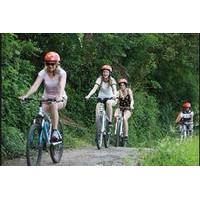 half day east bali village cycling tour with lunch or dinner