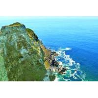 Half Day Cape Point Tour from Cape Town
