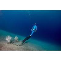 Half-Day Discover Freediving at Sail Rock from Koh Samui