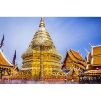 half day doi suthep and temples from chiang mai