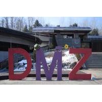 Half-Day DMZ Tour including Dora Observatory