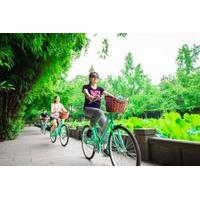 half day small group best of chengdu bike tour