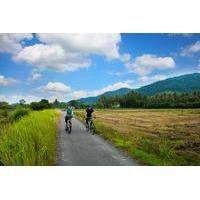 Half-Day Guided Countryside Cycling Tour in Penang