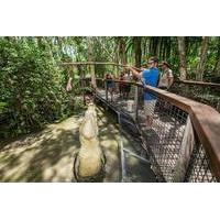 Hartley\'s Big Crocodile Feeding Experience from Cairns or Palm Cove