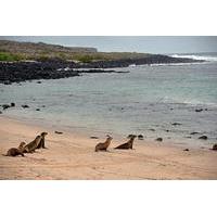 Half-Day Santa Cruz Island-Bahia Tour