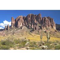 Half-Day Hummer Adventure through Tonto National Forest