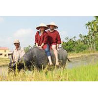 half day rice paddy experience from hoi an