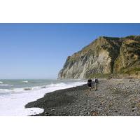 Half-Day Wairau Lagoon Tour from Blenheim