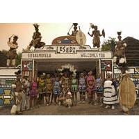 Half-Day Lesedi Cultural Village Tour in Johannesburg