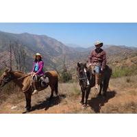 Half Day Horseback Riding in the Chilean Countryside from Santiago
