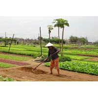 Half-Day Farming Experience from Hoi An