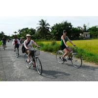half day tra que herbal village tour from hoi an