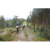 Half Day Horseback Riding Tour from Cusco