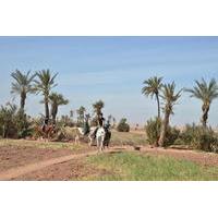 half day horse riding and quad bike adventure from marrakech
