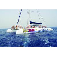 Half-day Catamaran Trip from Funchal