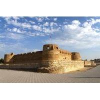 Half Day Private Tour: Trail of Delmon Civilization from Manama