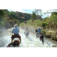 Half Day Horseback Riding Adventure