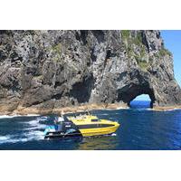 half day bay of islands discovery tour from paihia
